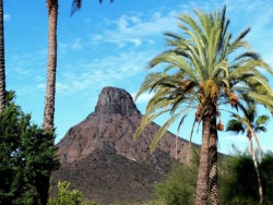 Vulkankegel bei San Isidro, Baja California, Mexiko